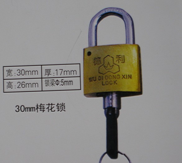 厂家供应优质30mm表箱挂锁,农村改造电力表箱专用通开锁,一把钥匙开多把铜锁